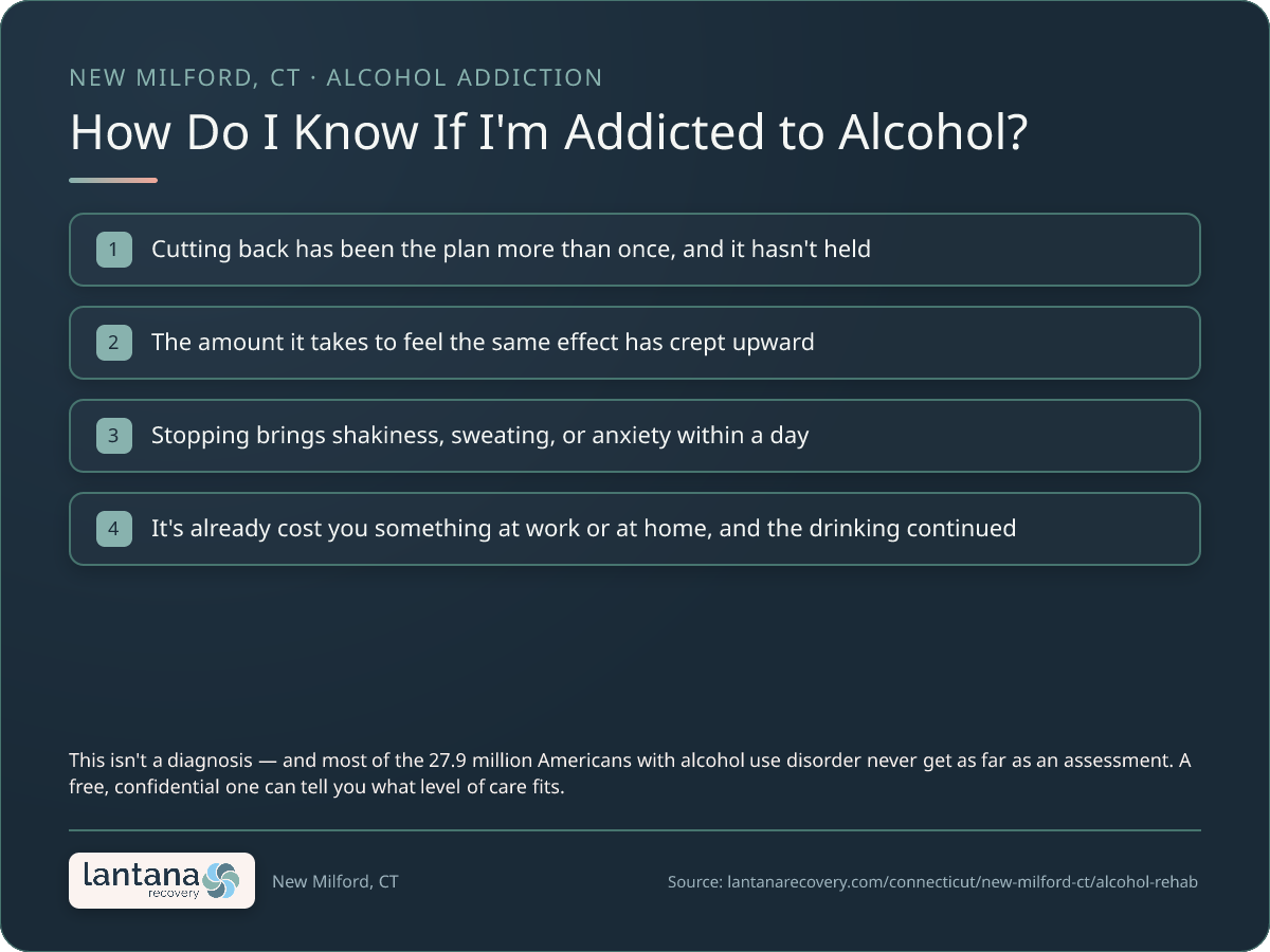 How do you know if you need Alcohol Addiction in New Milford? — a checklist infographic