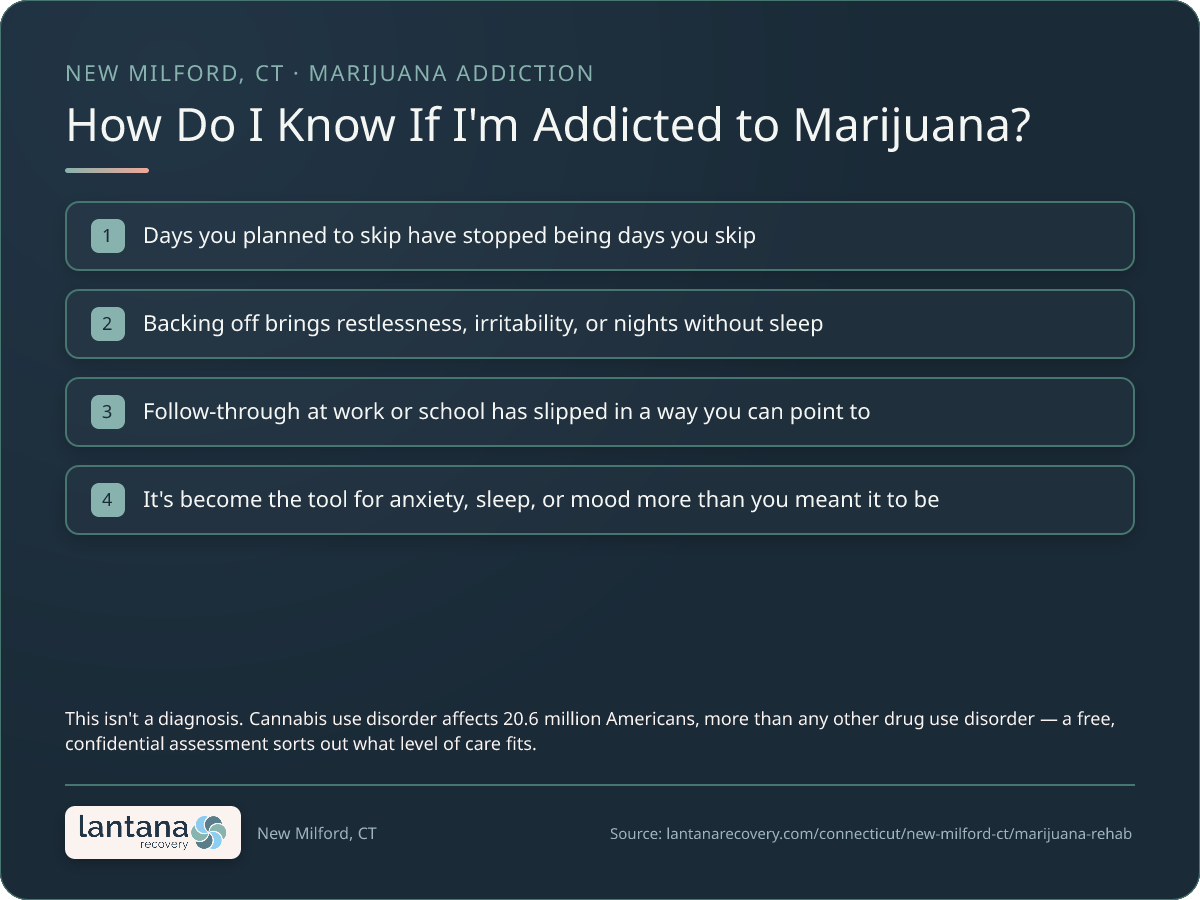 How do you know if you need Marijuana and Cannabis Addiction in New Milford? — a checklist infographic