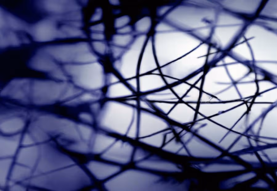 The Triggers and Patterns of Addiction - The Addiction Tree: Tracing the Roots and Effects of Addictive Patterns 
