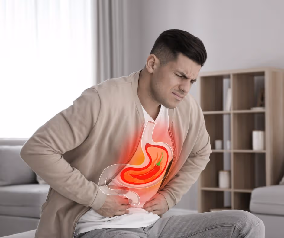 A medical illustration of the digestive system highlighting the stomach area, indicating alcohol withdrawal stomach pain as a possible symptom.
