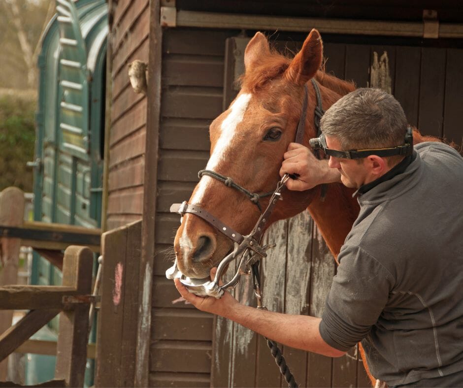 Benefits of Equine-Assisted Therapy in Addiction Recovery