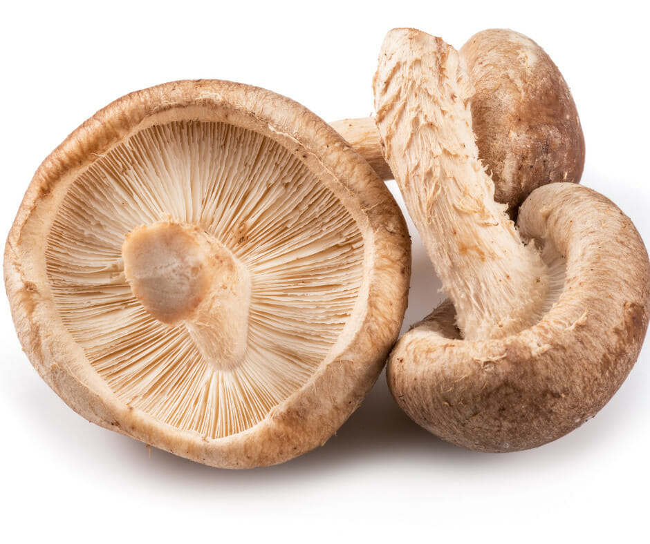 Understanding Mushroom Withdrawal