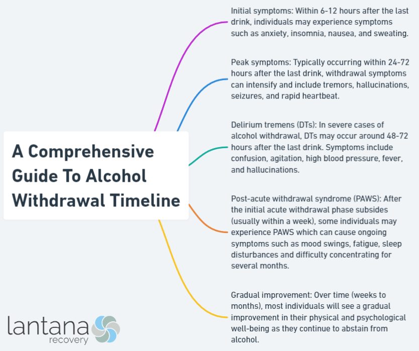 A Comprehensive Guide To Alcohol Withdrawal Timeline
