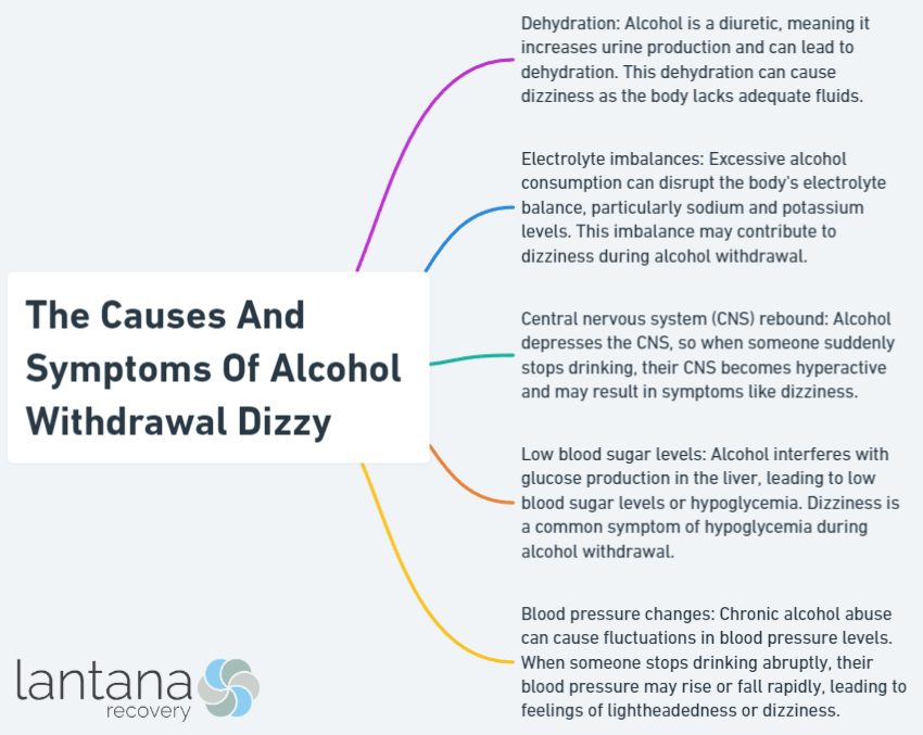 The Causes And Symptoms Of Alcohol Withdrawal Dizzy
