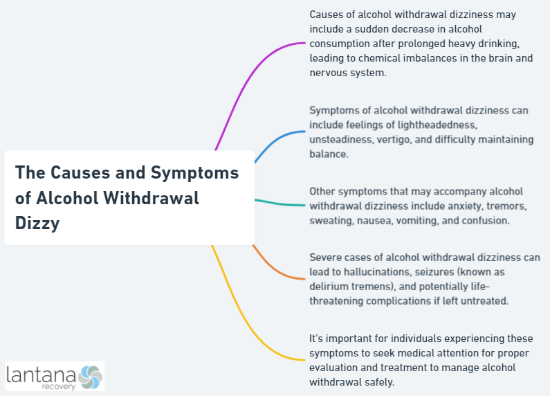 The Causes and Symptoms of Alcohol Withdrawal Dizzy